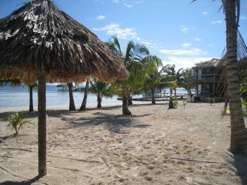 Exotic Caye Beach Resort San Pedro  Extérieur photo