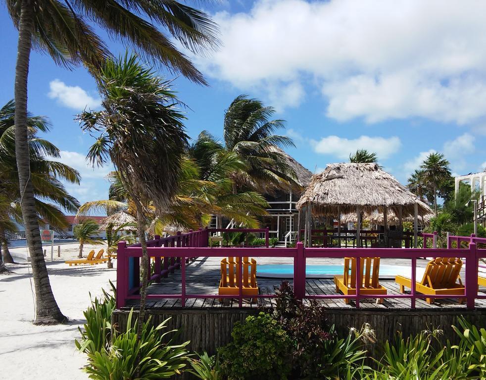 Exotic Caye Beach Resort San Pedro  Extérieur photo