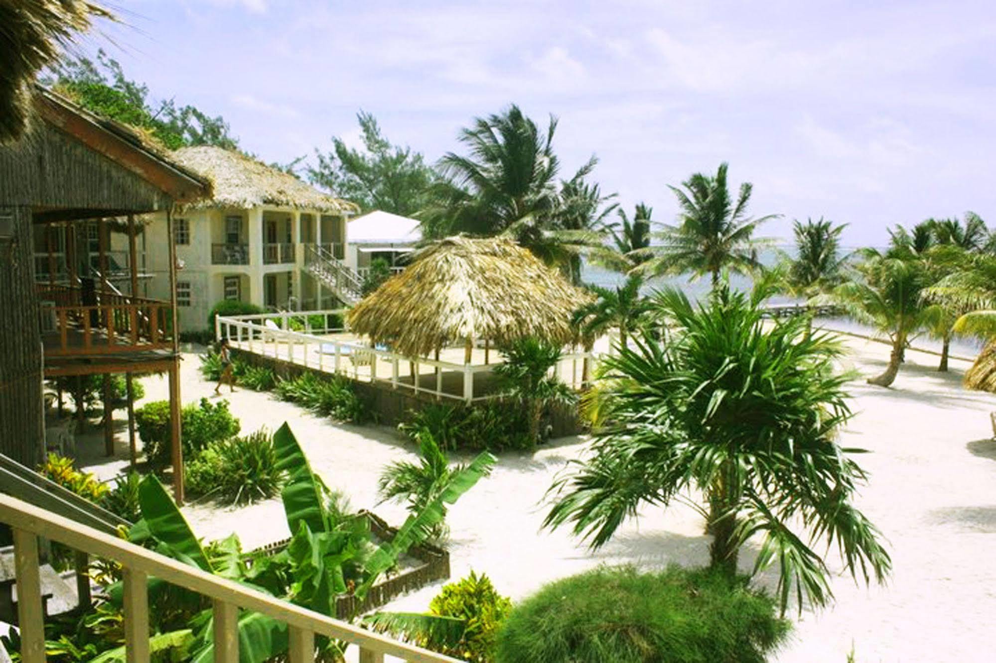 Exotic Caye Beach Resort San Pedro  Extérieur photo